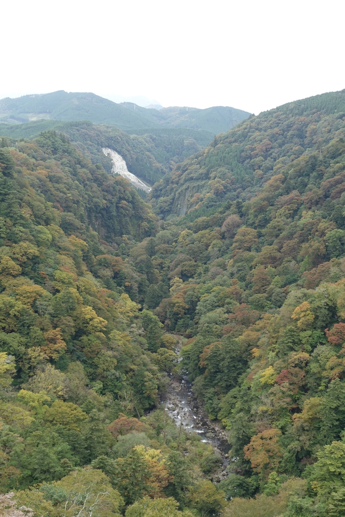 番外編_九州_大分県_九重夢大吊橋_湯布院　No21