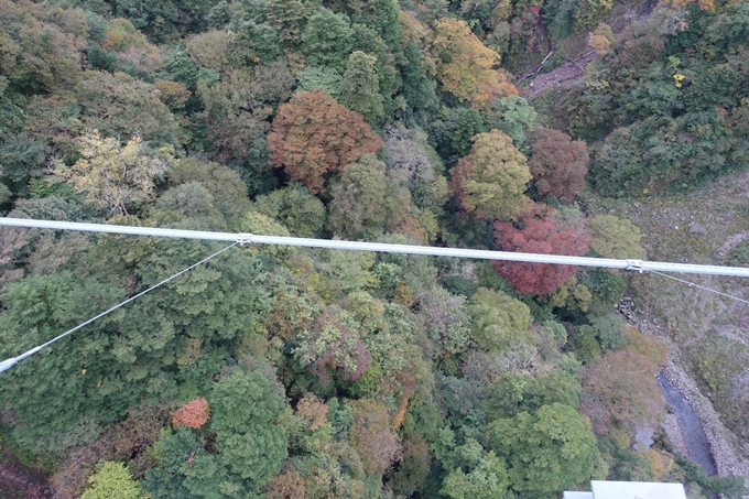 番外編_九州_大分県_九重夢大吊橋_湯布院　No25