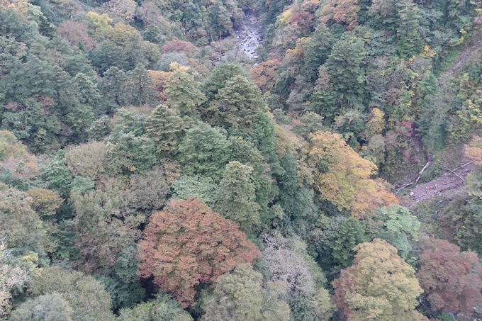 番外編_九州_大分県_九重夢大吊橋_湯布院　No26