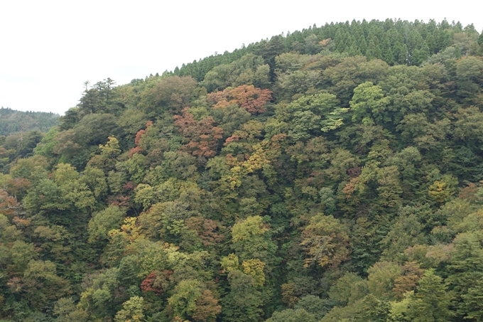 番外編_九州_大分県_九重夢大吊橋_湯布院　No27