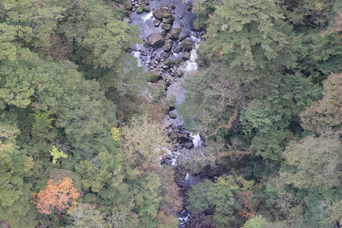 番外編_九州_大分県_九重夢大吊橋_湯布院　No30