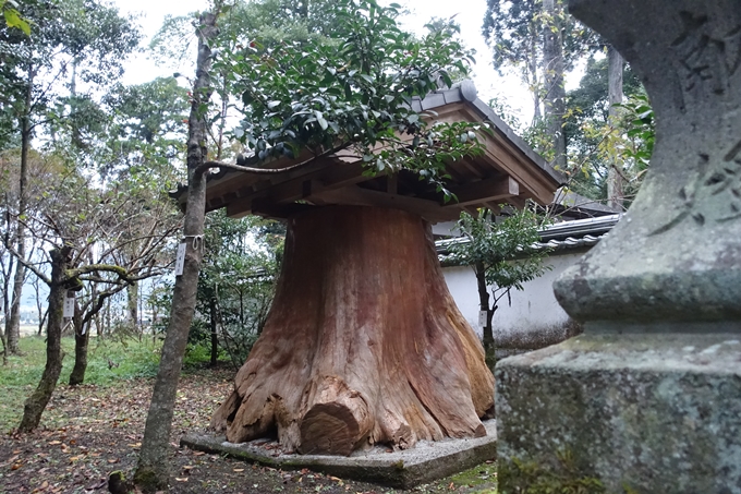 番外編_九州_大分県_狭霧台_宇奈岐日女神社　No25