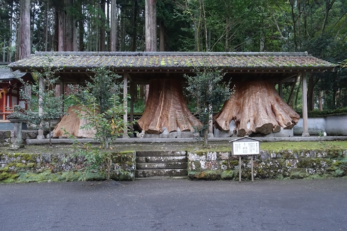 番外編_九州_大分県_狭霧台_宇奈岐日女神社　No37