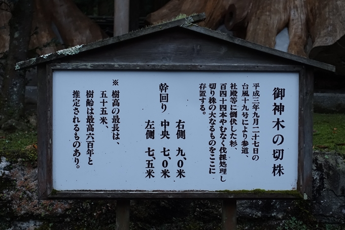 番外編_九州_大分県_狭霧台_宇奈岐日女神社　No38