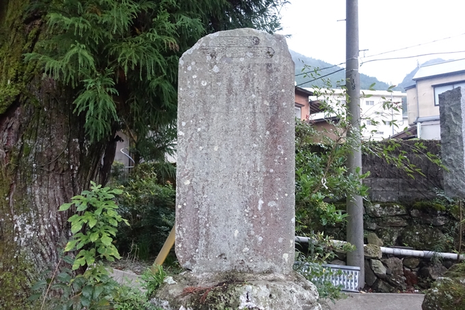 番外編_九州_大分県_狭霧台_宇奈岐日女神社　No42