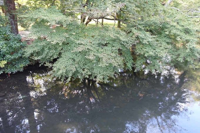 番外編_九州_大分県_湯布院_別府　No13