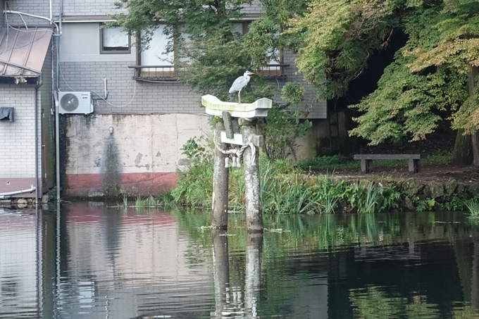 番外編_九州_大分県_湯布院_別府　No17