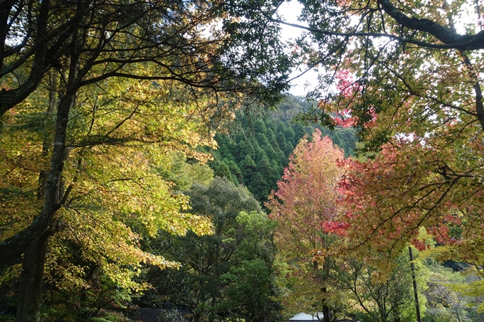 番外編_九州_大分県_湯布院_別府　No19