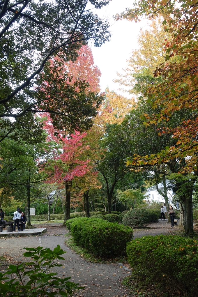 番外編_九州_大分県_湯布院_別府　No33