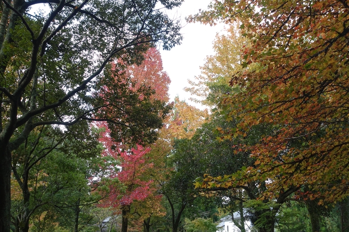 番外編_九州_大分県_湯布院_別府　No34