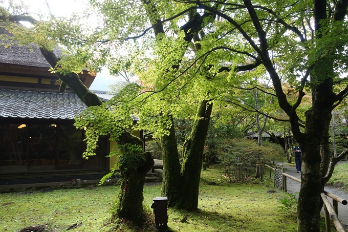 番外編_九州_大分県_湯布院_別府　No37