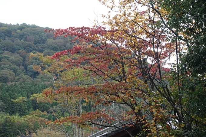 番外編_九州_大分県_湯布院_別府　No57