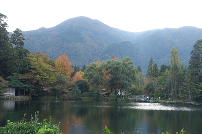 番外編_九州_大分県_湯布院_別府　No64