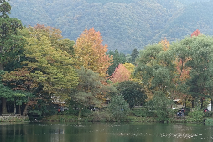 番外編_九州_大分県_湯布院_別府　No65