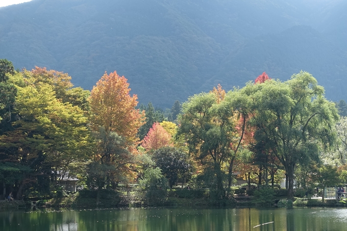 番外編_九州_大分県_湯布院_別府　No68