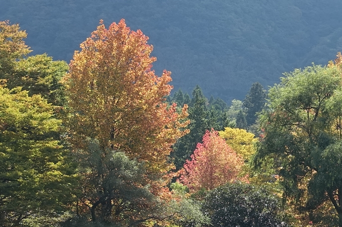 番外編_九州_大分県_湯布院_別府　No69