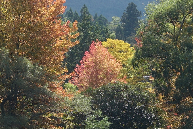 番外編_九州_大分県_湯布院_別府　No70