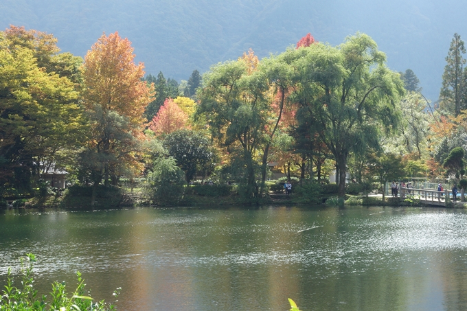 番外編_九州_大分県_湯布院_別府　No71