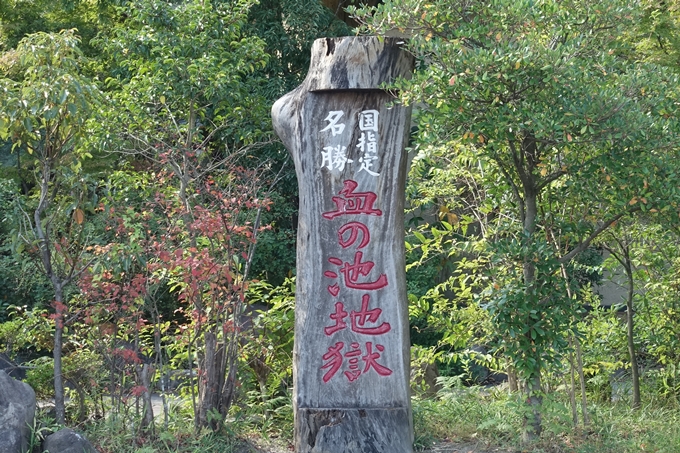 番外編_九州_大分県_湯布院_別府　No78