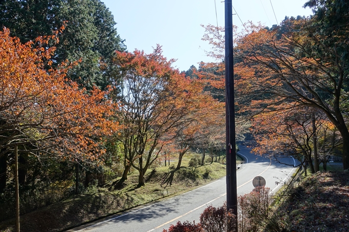 京都_紅葉情報_2019_02　比叡山ドライブウェイ　No13