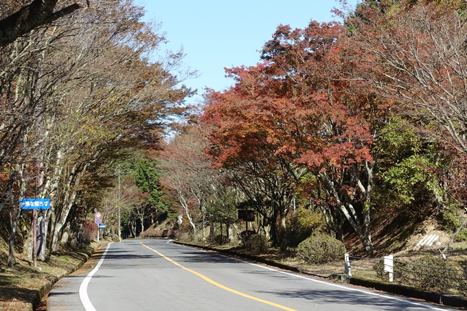 京都_紅葉情報_2019_02　比叡山ドライブウェイ　No18