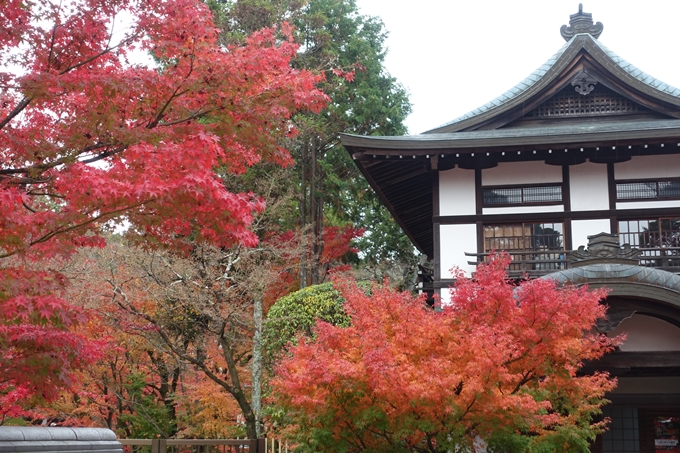 京都_紅葉情報_2019_17　哲学の道・南禅寺　No19