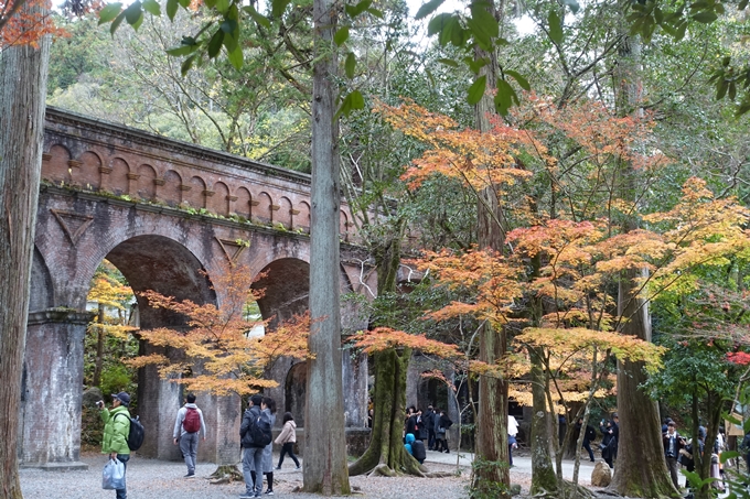 京都_紅葉情報_2019_17　哲学の道・南禅寺　No27