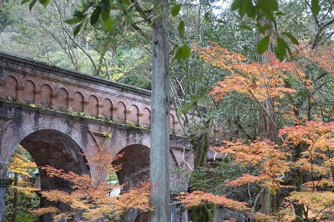 京都_紅葉情報_2019_17　哲学の道・南禅寺　No28