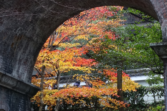 京都_紅葉情報_2019_17　哲学の道・南禅寺　No38