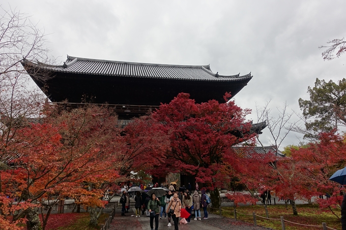 京都_紅葉情報_2019_17　哲学の道・南禅寺　No46