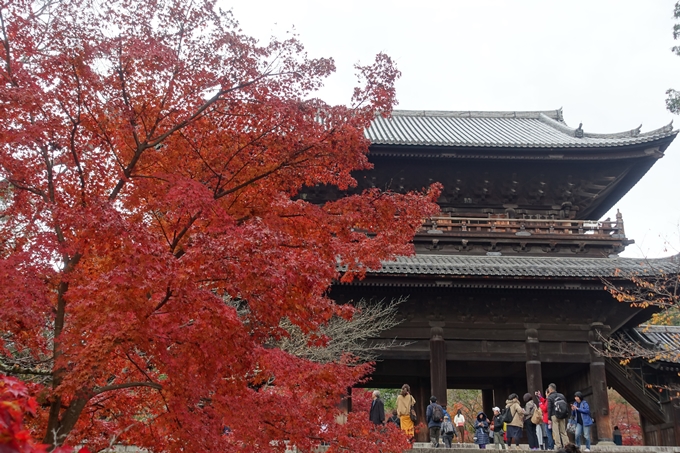 京都_紅葉情報_2019_17　哲学の道・南禅寺　No52