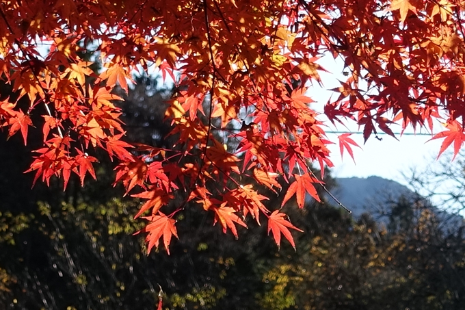 岐阜_中津川_神坂峠_富士見台　No9