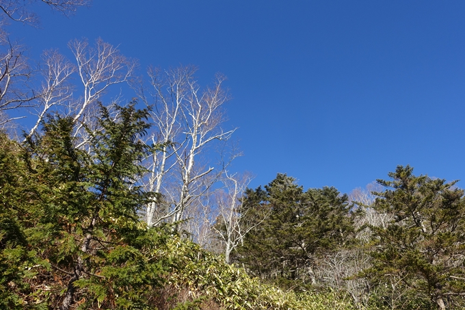 岐阜_中津川_神坂峠_富士見台　No12