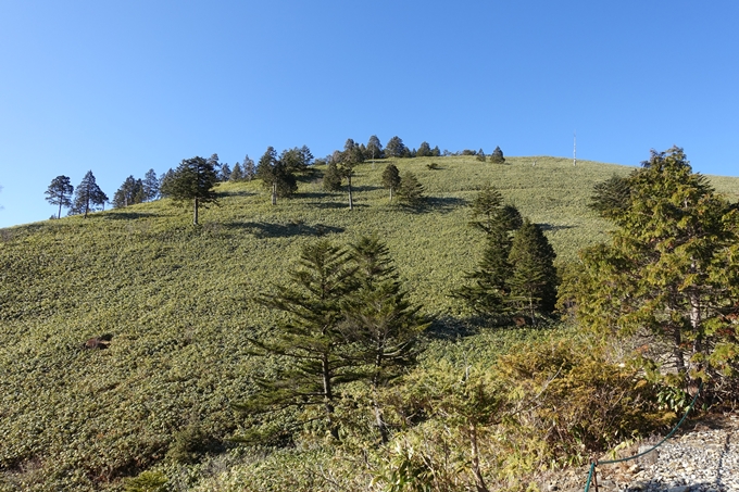 岐阜_中津川_神坂峠_富士見台　No22