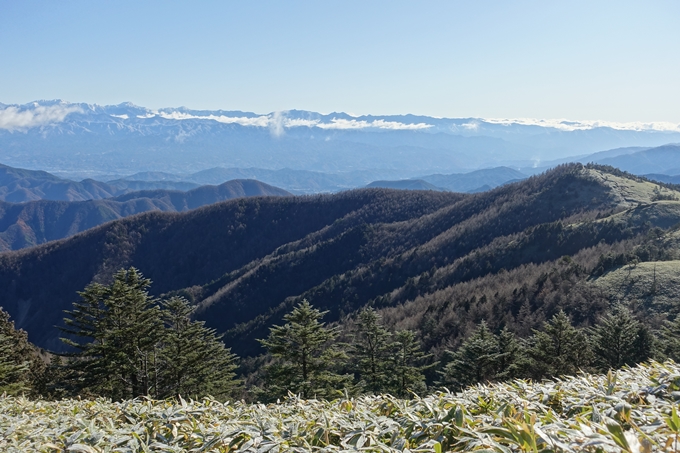 岐阜_中津川_神坂峠_富士見台　No58