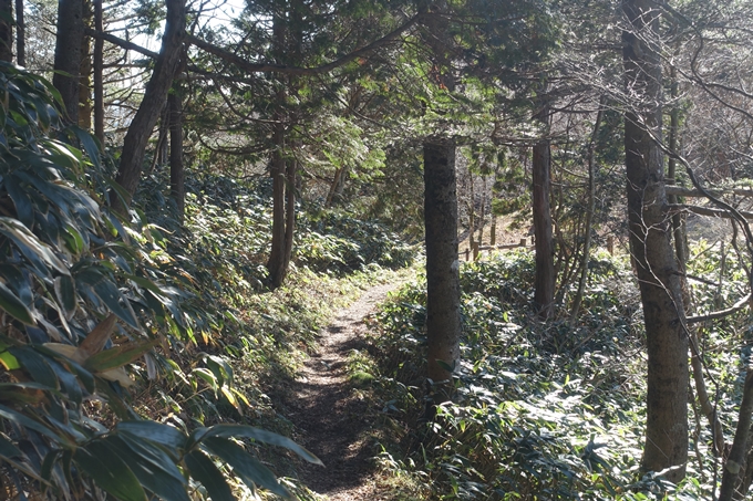 岐阜_中津川_神坂峠_富士見台　No100