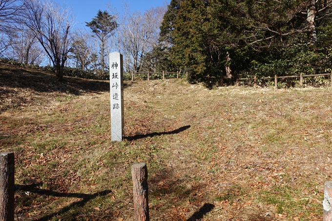 岐阜_中津川_神坂峠_富士見台　No103