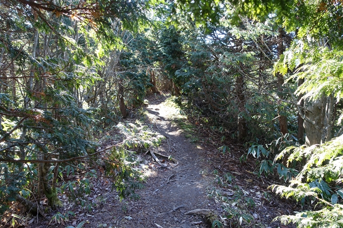 岐阜_中津川_神坂峠_富士見台　No114