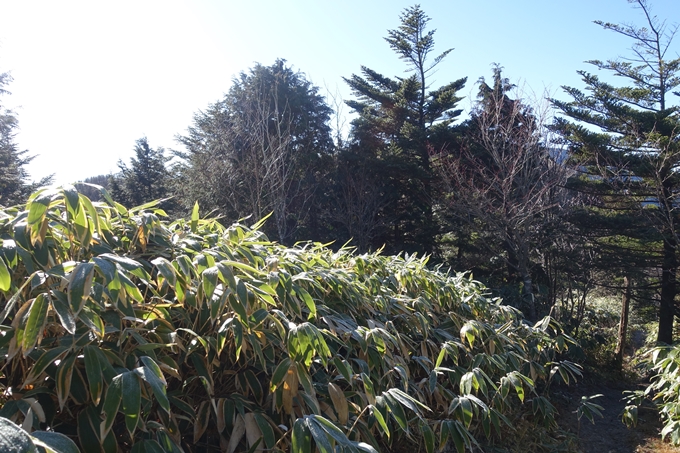 岐阜_中津川_神坂峠_富士見台　No115