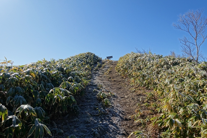 岐阜_中津川_神坂峠_富士見台　No126