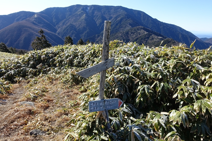 岐阜_中津川_神坂峠_富士見台　No129