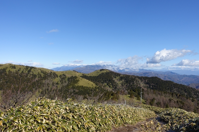 岐阜_中津川_神坂峠_富士見台　No130