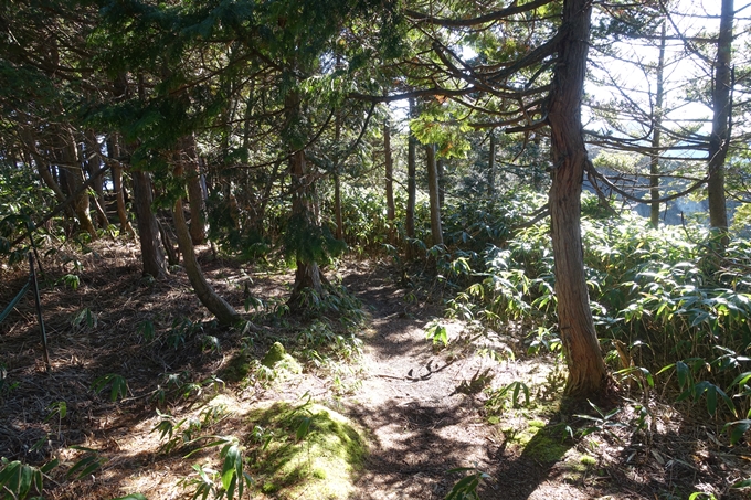 岐阜_中津川_神坂峠_富士見台　No133