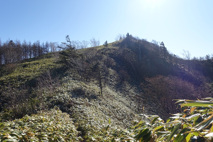 岐阜_中津川_神坂峠_富士見台　No134