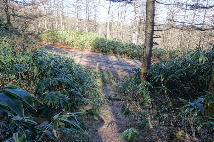 岐阜_中津川_神坂峠_富士見台　No137