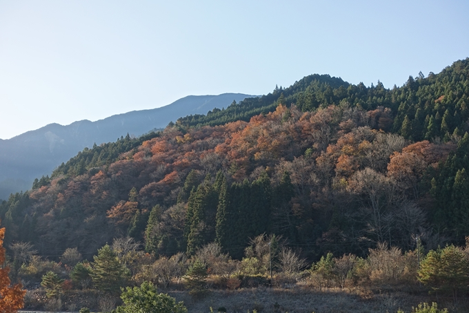 岐阜_中津川_苗木城_岩村城　No12