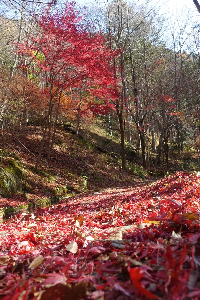 岐阜_中津川_苗木城_岩村城　No53