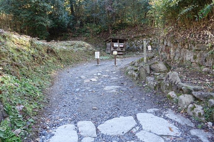 岐阜_中津川_苗木城_岩村城　No61