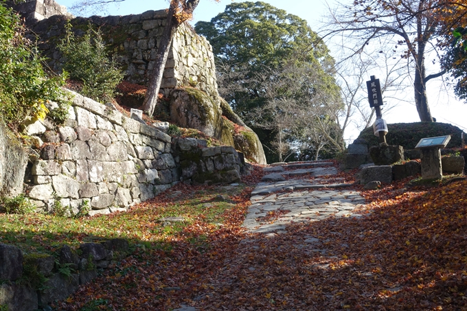 岐阜_中津川_苗木城_岩村城　No67