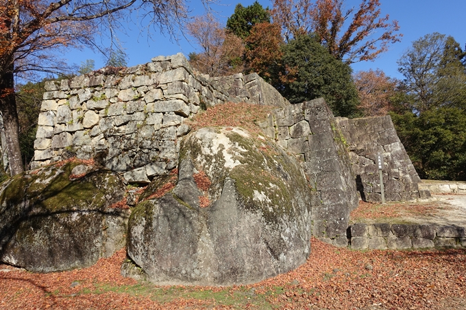 岐阜_中津川_苗木城_岩村城　No68